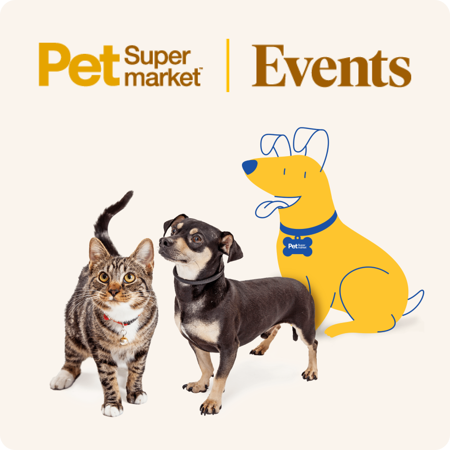 To Our Special Pet Adoption Event on May 21st (12—3pm)!